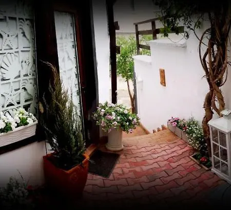 Apartment Casa Fotografului Marines