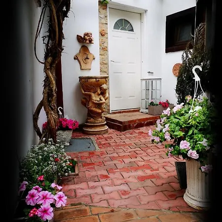 Casa Fotografului Marines * コンスタンツァ