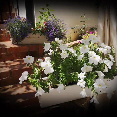 Casa Fotografului Marines * Constanta